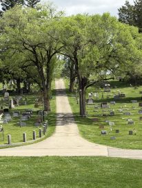 article image - DAR1